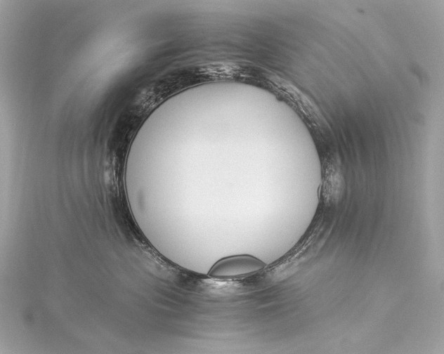 X0000116020477200912041754