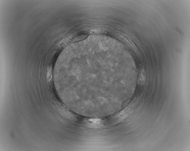 X0000116020478200912041754