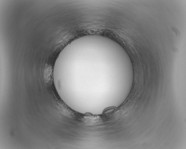 X0000116020480200912041754