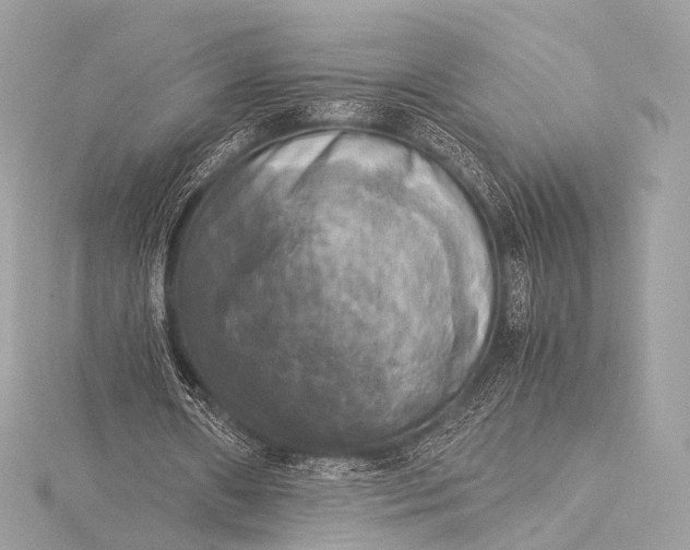 X0000116020482200912041753