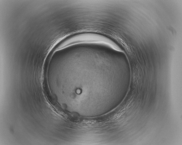 X0000116020484200912041753