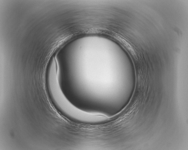 X0000116020485200912041753