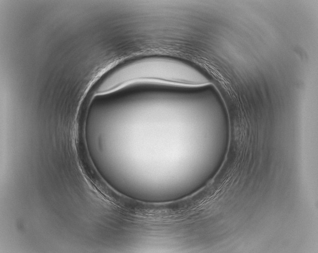 X0000116020488200912041753