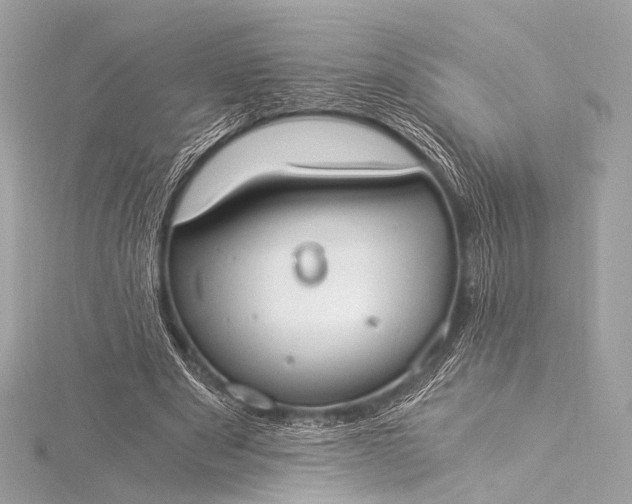 X0000116020489200912041753