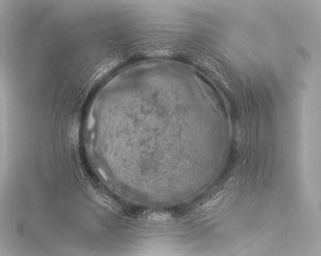 X0000116020491200912041753