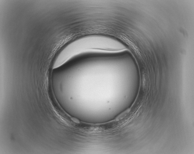 X0000116020493200912041753