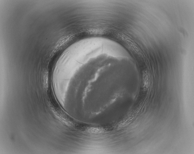 X0000116020494200912041753