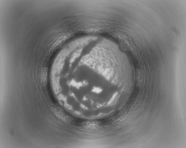 X0000116020495200912041753