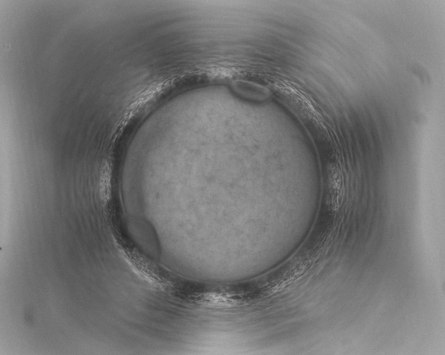 X0000116020496200912041753