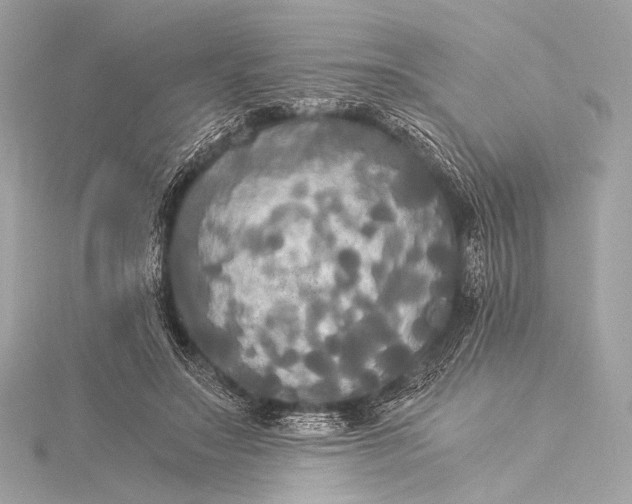 X0000116020499200912041753