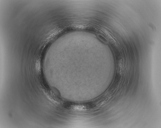 X0000116020500200912041753