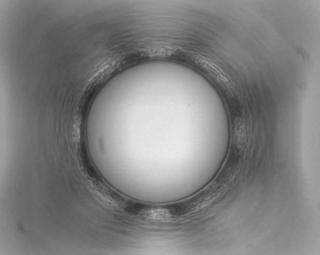 X0000116020501200912041753