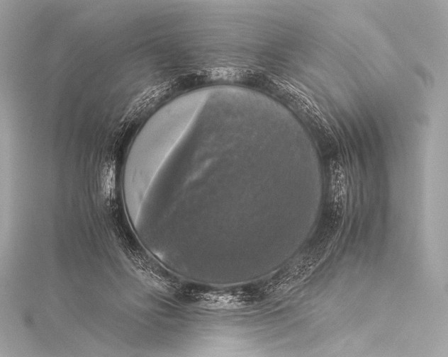 X0000116020502200912041753