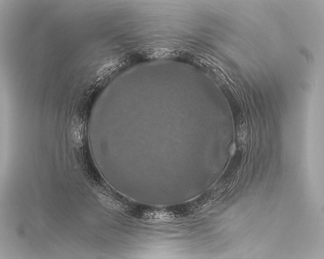 X0000116020503200912041753