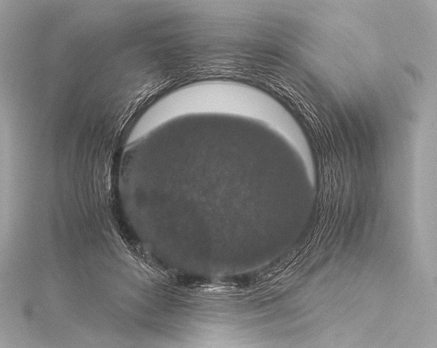 X0000116020504200912041753