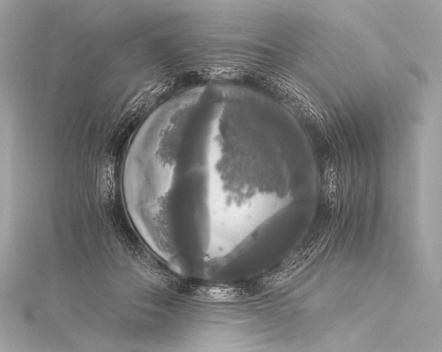 X0000116020506200912041753