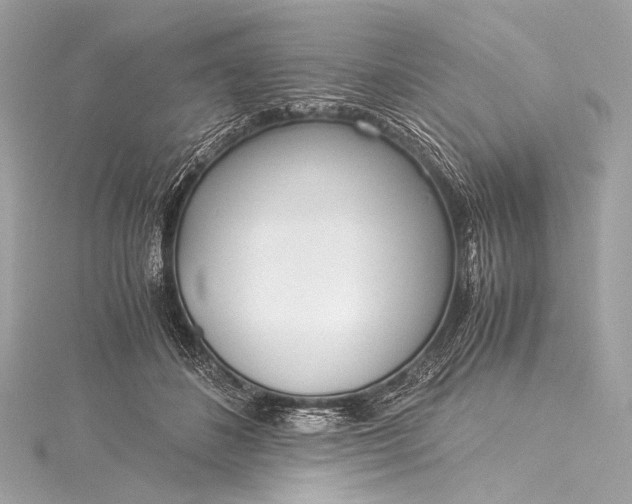 X0000116020508200912041753