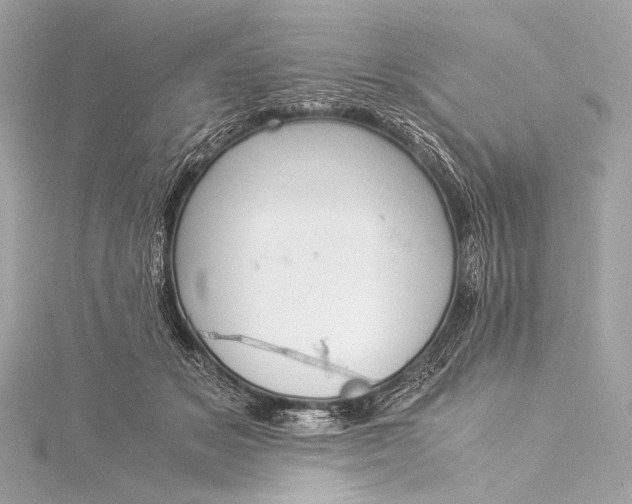 X0000116020509200912041753