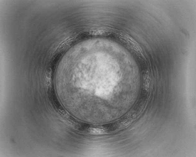 X0000116020510200912041753