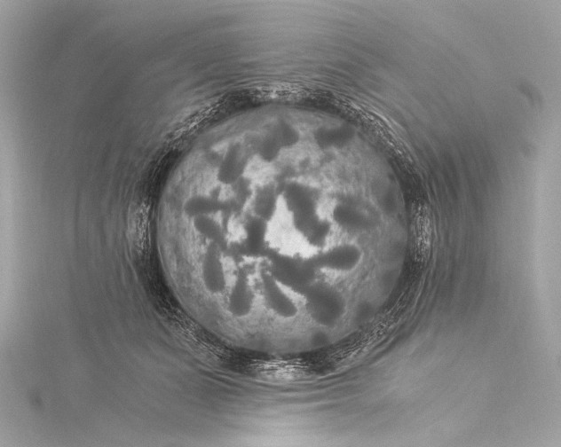 X0000116020511200912041753