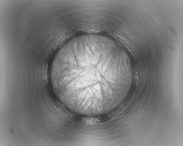 X0000116020512200912041753