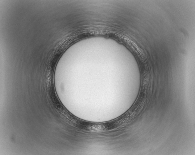 X0000116020513200912041753