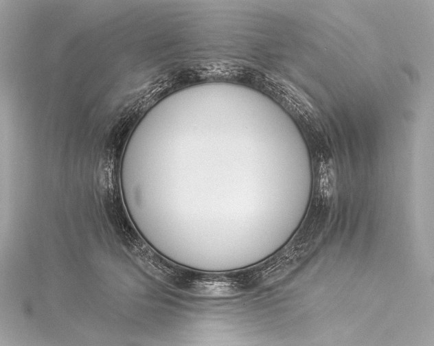 X0000116020514200912041753