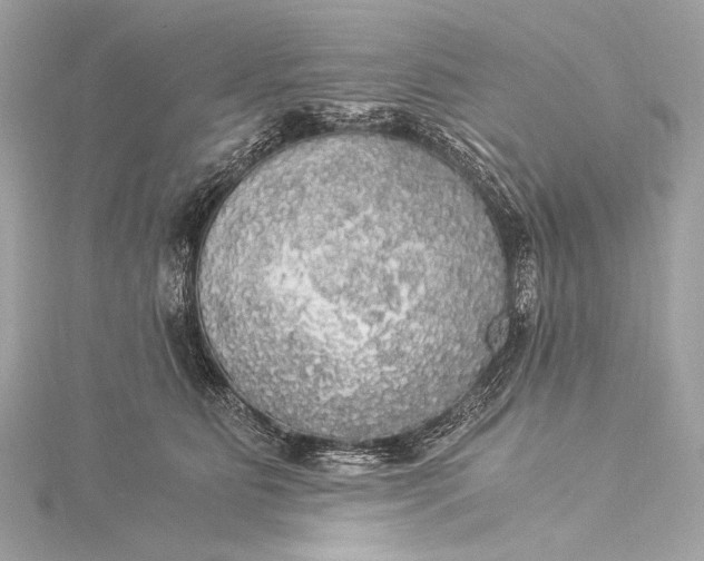 X0000116020515200912041753