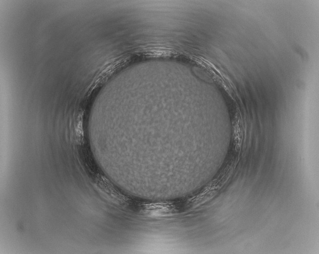 X0000116020516200912041753