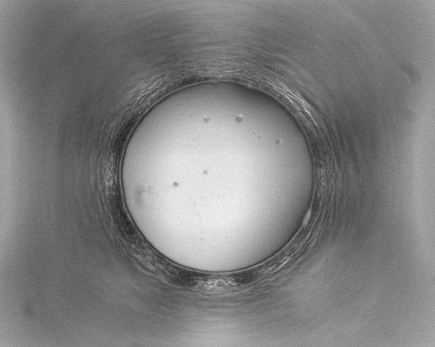 X0000116020517200912041753