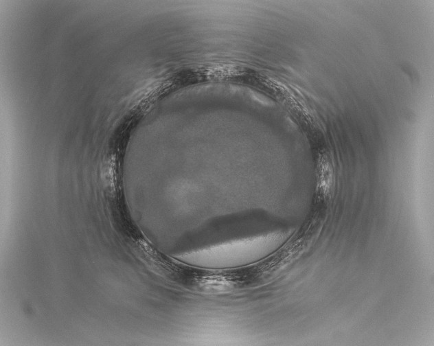 X0000116020519200912041753