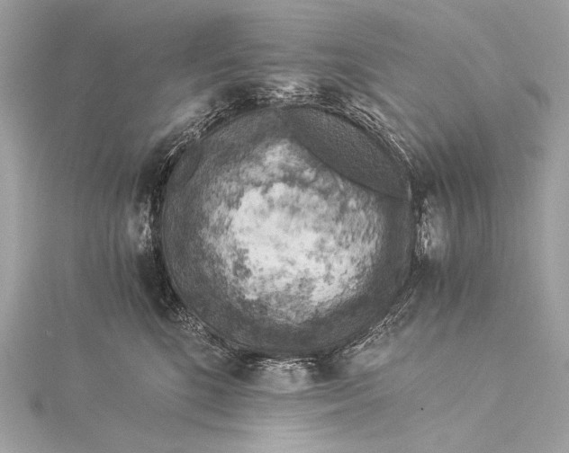 X0000116020520200912041753