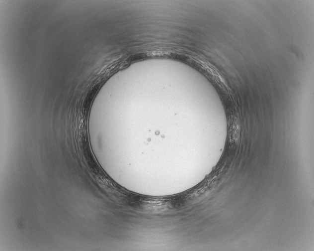 X0000116020521200912041753