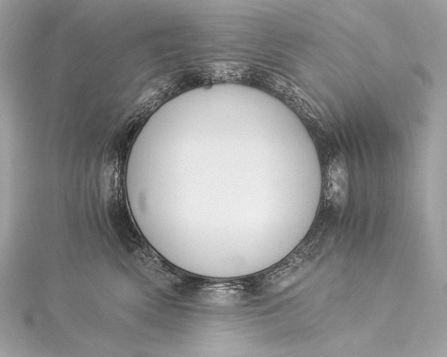 X0000116020522200912041753