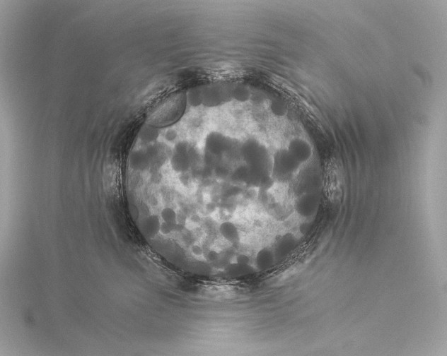 X0000116020523200912041753