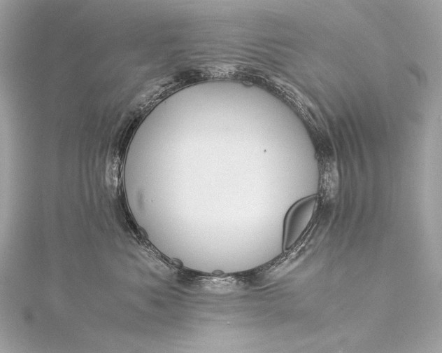 X0000116020525200912041753