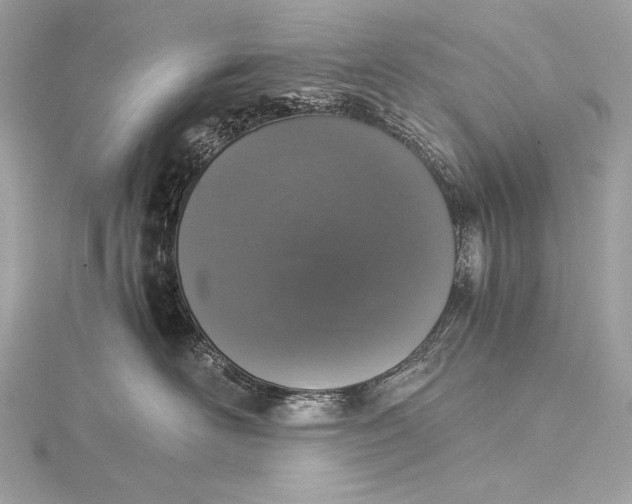 X0000116020526200912041753