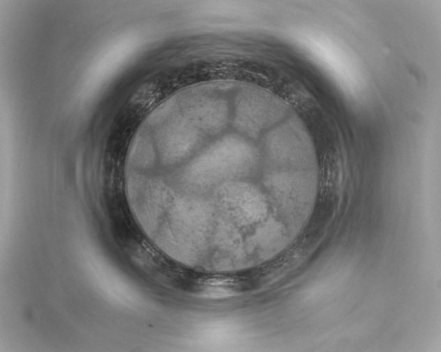 X0000116020527200912041753