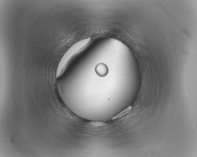 X0000116020528200912041753