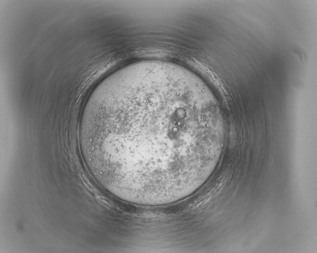 X0000116020529200912041752