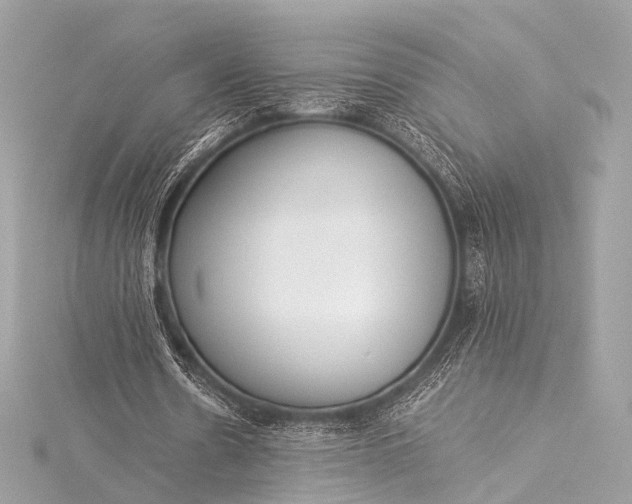 X0000116020530200912041752