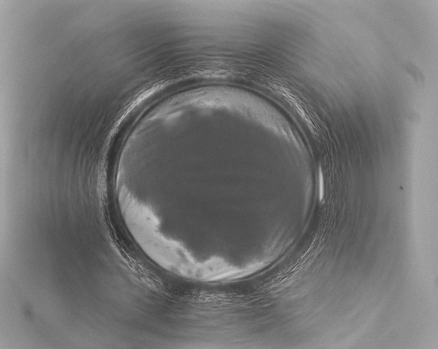 X0000116020531200912041752