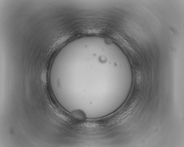 X0000116020537200912041752