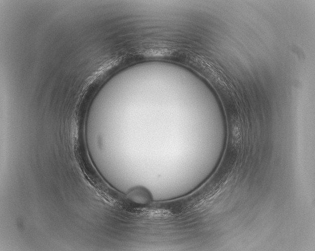 X0000116020539200912041752