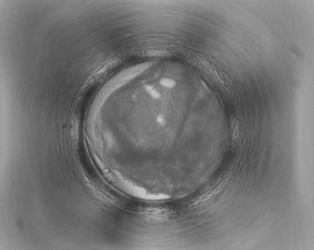 X0000116020542200912041752