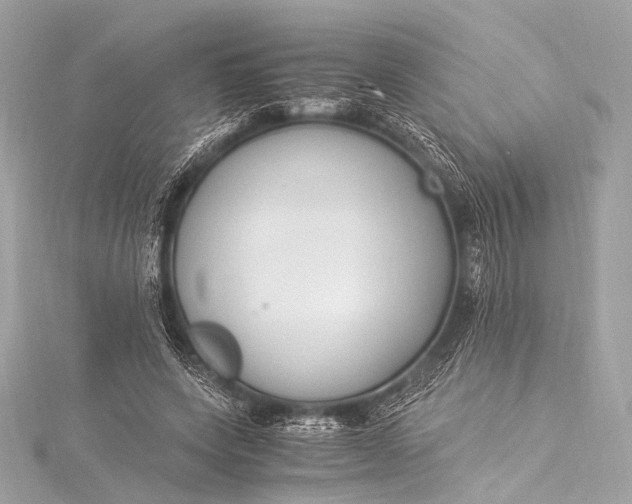 X0000116020543200912041752