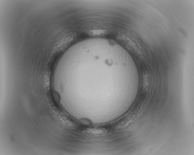 X0000116020545200912041752