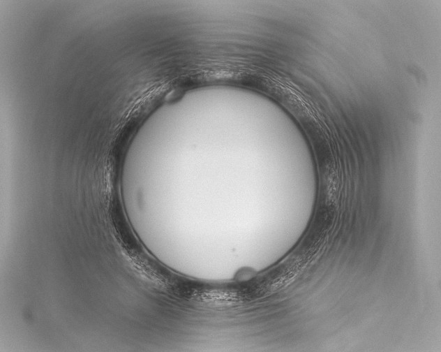 X0000116020546200912041752