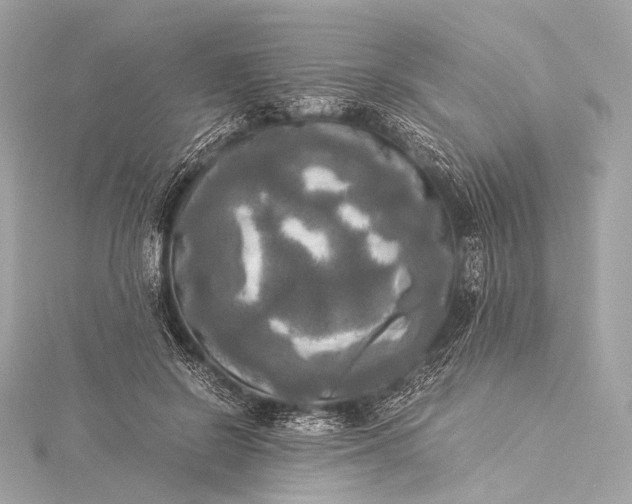 X0000116020550200912041752