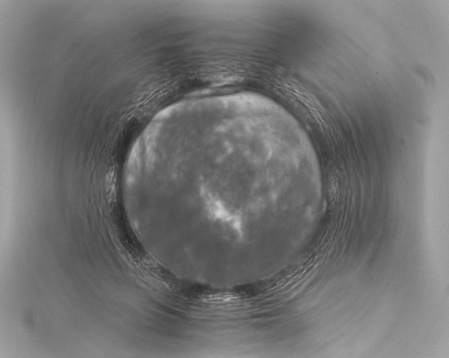 X0000116020551200912041752